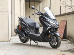 QJMOTOR 250 - фото 5