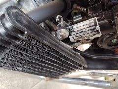 Sundiro Honda CBF150RE - фото 8