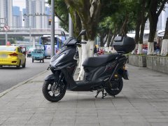 QJMOTOR TAN150+ - фото 1