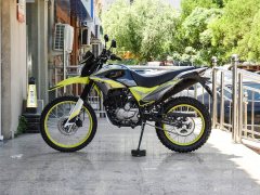 Zongshen 250X - фото 4
