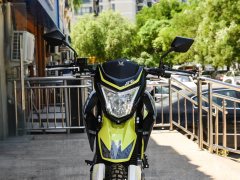 Zongshen 250X - фото 9