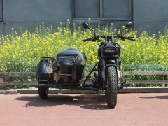 QJMOTOR 350+ - фото 2