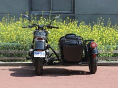 QJMOTOR 350+ - фото 4