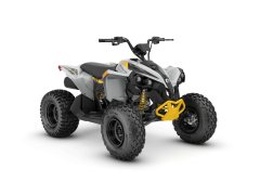 Pangbadi 1000 cc - фото 1