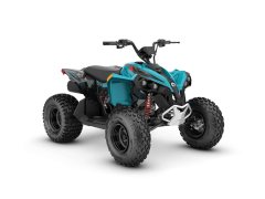 Pangbadi 1000 cc - фото 2