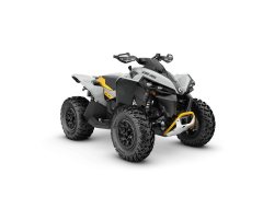 Pangbadi 1000 cc - фото 3