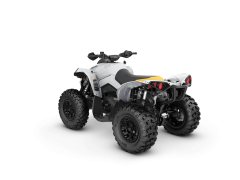 Pangbadi 1000 cc - фото 4