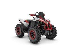 Pangbadi 1000 cc - фото 5