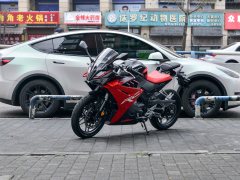 Cyclone RC250 - фото 1