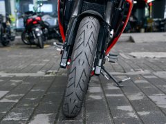 Cyclone RC250 - фото 7