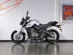 Benelli TNT25 250 cc - фото 4