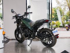 Benelli Leoncino 500 - фото 6
