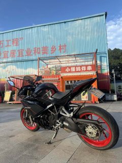 Kayo 321RR 320 cc - фото 2