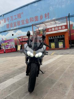 Voge 250RR - фото 10