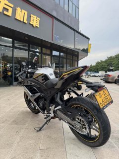 Voge 250RR - фото 3