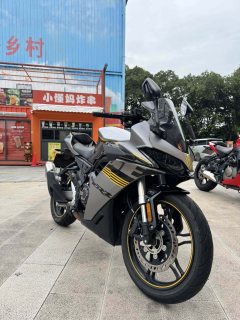 Voge 250RR - фото 9