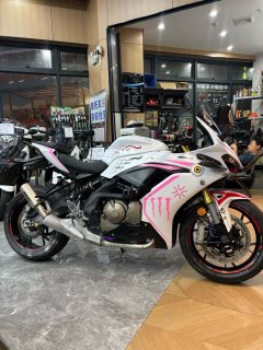 QJMOTOR 600 - фото 3