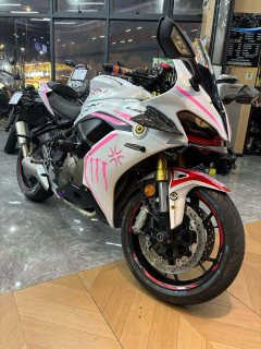 QJMOTOR 600 - фото 5
