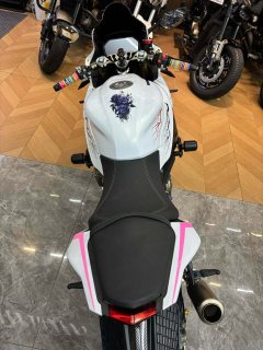 QJMOTOR 600 - фото 6