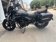 Haojue TR300 - фото 6
