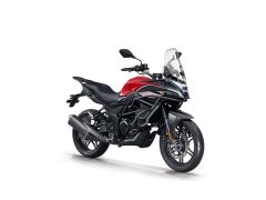 Voge 300DS - фото 1