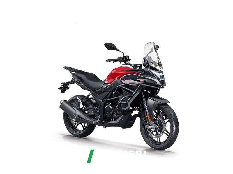 2022 Voge 300DS