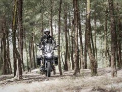 Voge 300DS - фото 6