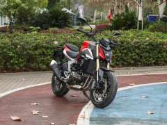 QJMOTOR 550 - фото 2