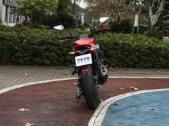 QJMOTOR 550 - фото 3
