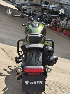 Harley-Davidson Sportster S 1250 cc - фото 5