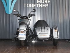 Mojiang MJ919 800 cc - фото 6