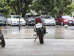 Triumph Scrambler 400 X - фото 6