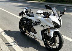 QJMOTOR SRK 250 - фото 1