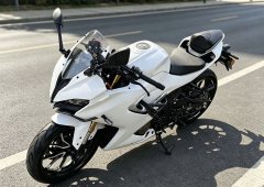 QJMOTOR SRK 250 - фото 2