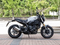 Benelli Leoncino 800 - фото 5