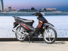 Jinan Suzuki QS110-4 - фото 3