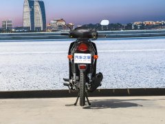 Jinan Suzuki QS110-4 - фото 6