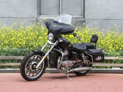 Dadiyingwang DD250E-9D - фото 1