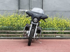 Dadiyingwang DD250E-9D - фото 2