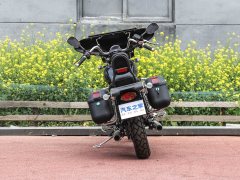 Dadiyingwang DD250E-9D - фото 6