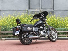 Dadiyingwang DD250E-9D - фото 7