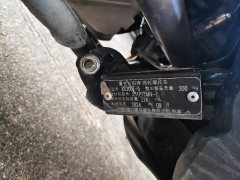 SYM Husky ADV300 - фото 5