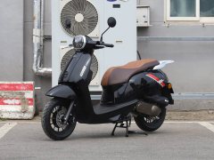 QJMOTOR 50 - фото 1
