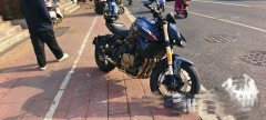 QJMOTOR 600 - фото 2