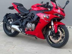 QJMOTOR 600 - фото 4