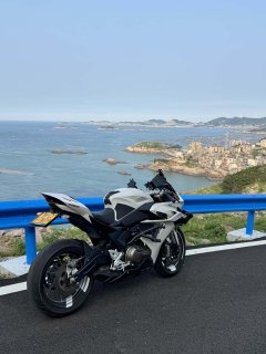 QJMOTOR 550 - фото 4