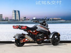 Jili 175 - фото 7