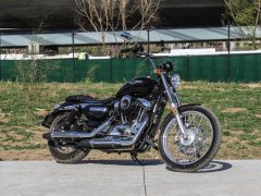 SHINERAY 1200 - фото 3