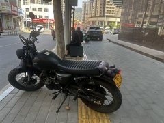 Qingqi U-Knight Bigfoot Crawler 250 cc - фото 1