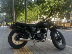 Qingqi U-Knight Bigfoot Crawler 250 cc - фото 2